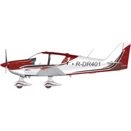 Stickers personnalisés pour Robin DR400 - Immatriculation et lettrage avion AEROWOOD - 1