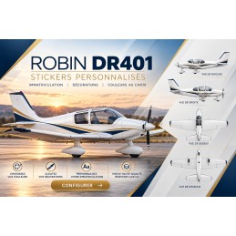 Stickers personnalisés pour Robin DR401 - Immatriculation et lettrage avion AEROWOOD - 1