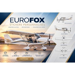 Stickers personnalisés pour Aeropro Eurofox - Immatriculation et lettrage avion AEROWOOD - 1