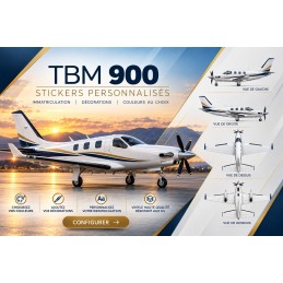 Custom Daher TBM 900 Aircraft Decals - Registration & Lettering AEROWOOD - 1