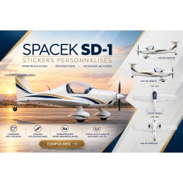 Stickers personnalisés pour Spacek SD-1 Minisport - Immatriculation et lettrage avion AEROWOOD - 1