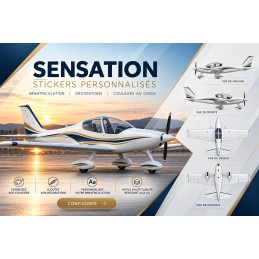 Adhesivos personalizados para Aeroflying Sensation - Matrícula y rotulación AEROWOOD - 1