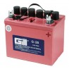 Batterie GILL G-25  - 1